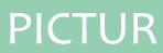 pictur